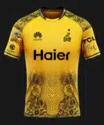 Peshawar Zalmi Shirt 2024 - PSL 9